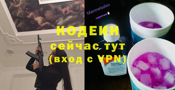 шишки Покачи