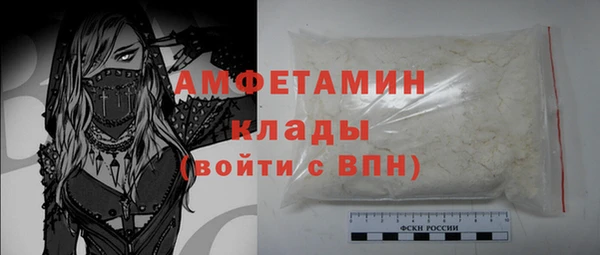 стафф Аркадак