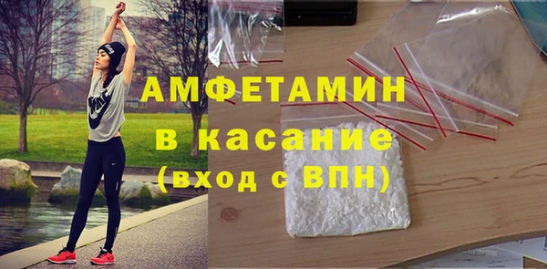 шишки Покачи